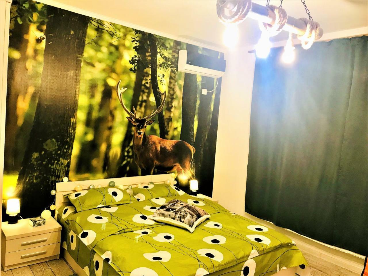 Nature Escape Studio 布加勒斯特 外观 照片