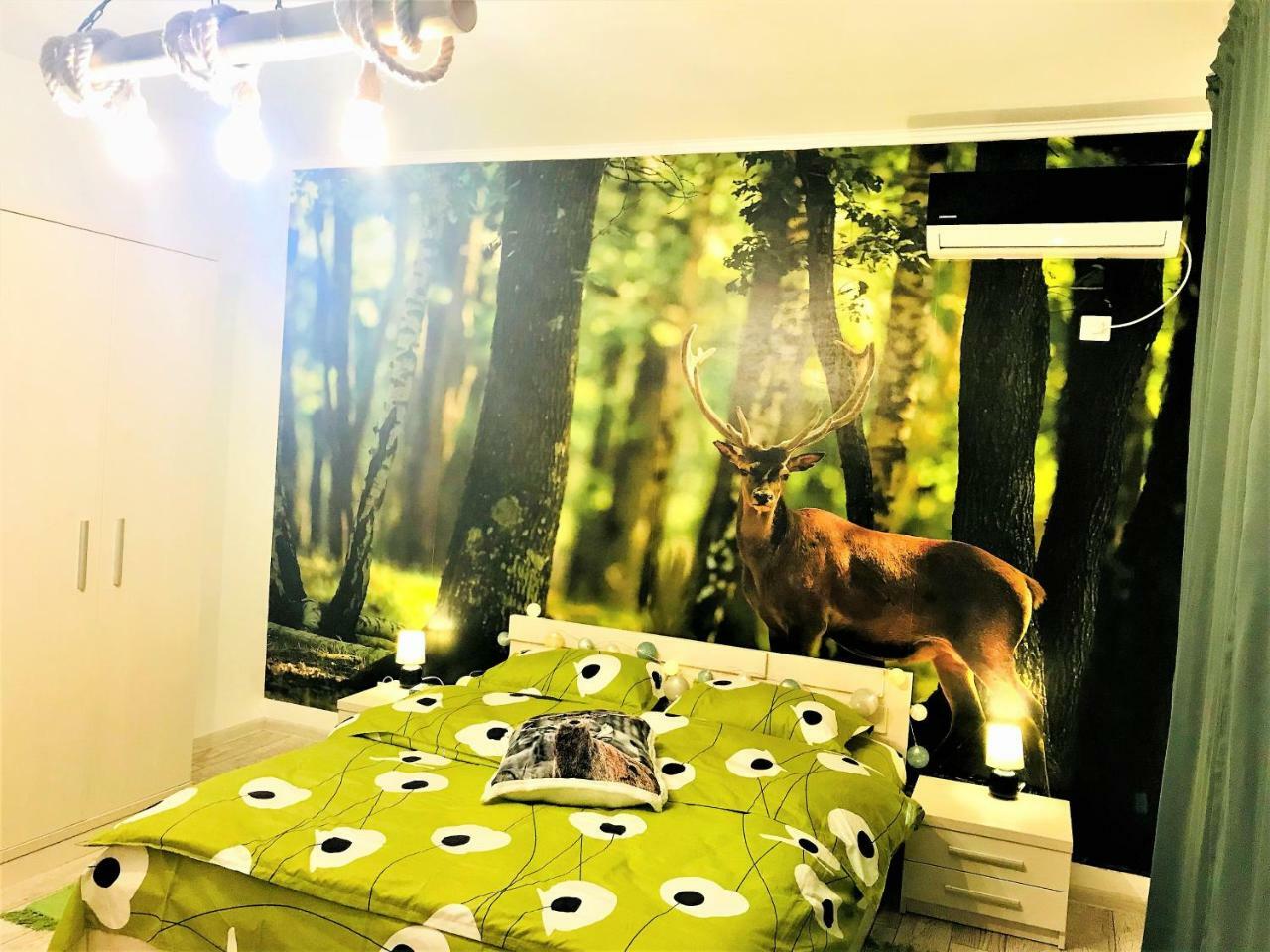 Nature Escape Studio 布加勒斯特 外观 照片